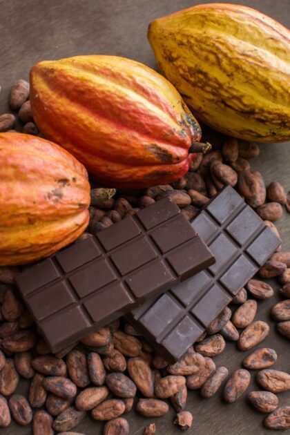 ‘El Gran Cacao’ una expresión muy venezolana, desde la historia del cacao