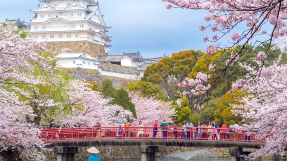 ¿Planeas Viajar a Japón? Aquí te damos una pequeña guía que esperamos te ayude mucho.