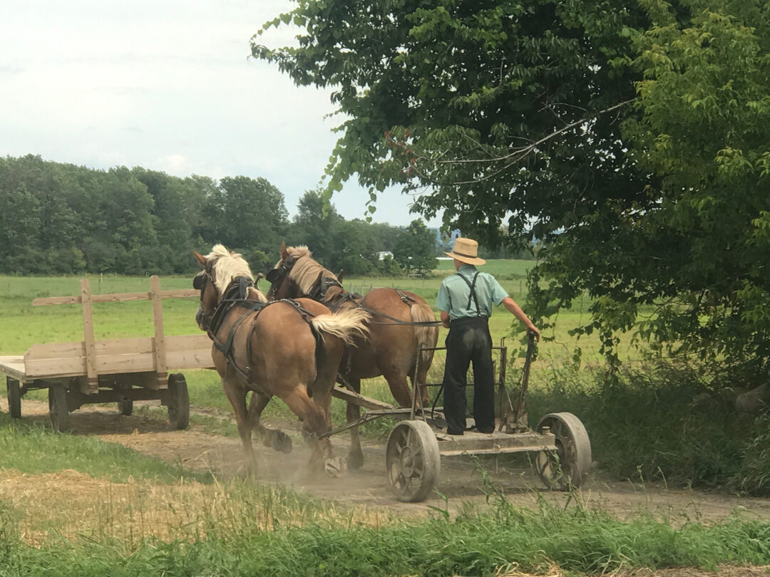 ¿Quiénes son los Amish?