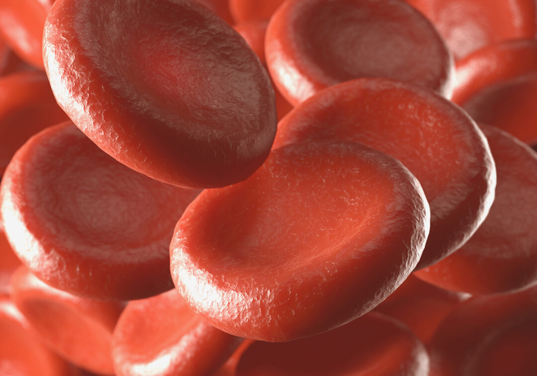 Conocer y combatir la anemia
