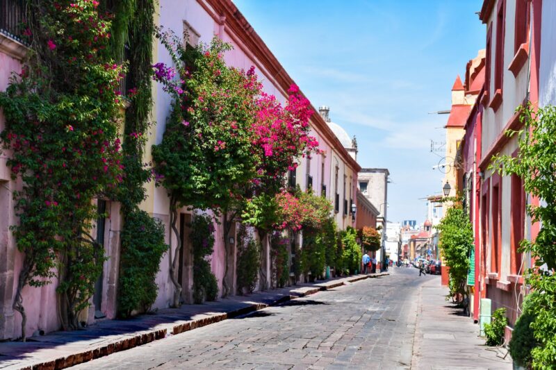 ¡Cuatro jardines en Querétaro que debes de conocer ya!