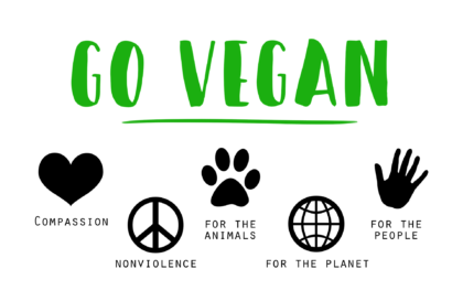 El boom de la cultura vegana