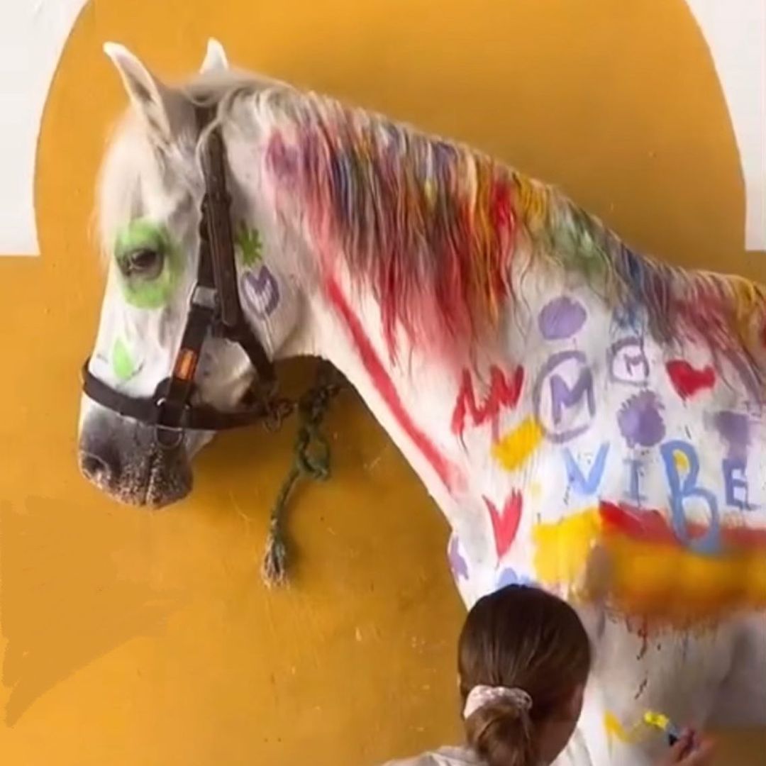 Indignación por maltrato a caballo utilizado como “lienzo vivo” en España