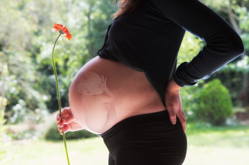 El embarazo modifica el cerebro de la mujer