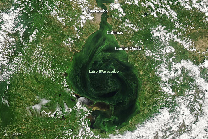 “Congo Mirador”, pueblo hundido en el Lago de Maracaibo