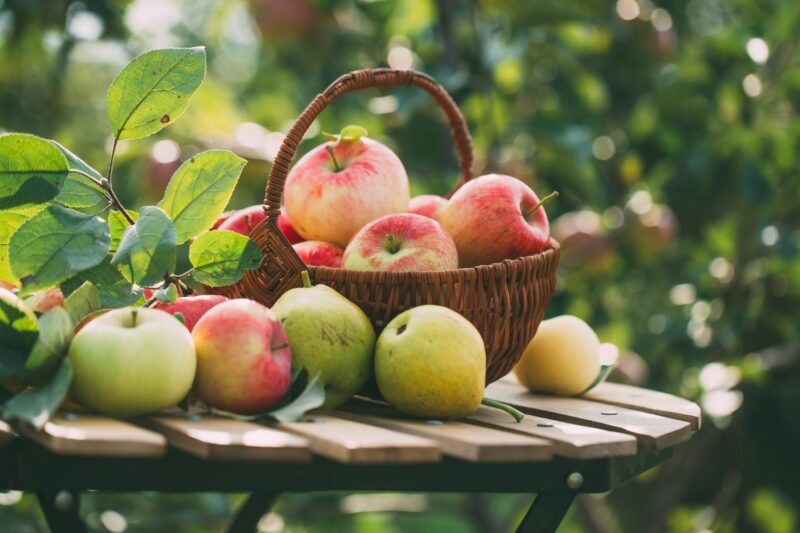 Las deliciosas manzanas y su amplia variedad