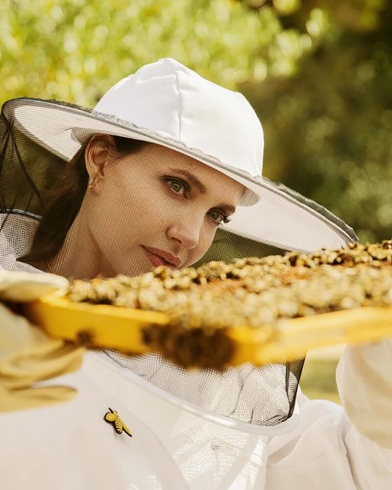 Angelina Jolie y su amor por las abejas